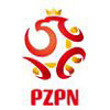 small_pzpn-logo